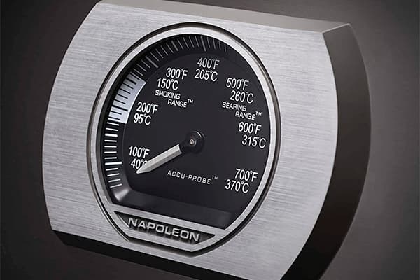 Temperature gauge detail Napoleon P500